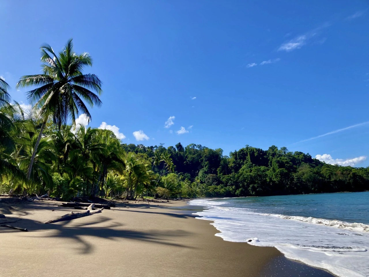 Casa Bromelia: Drake Bay Beachfront Paradise Property Near Corcovado - Gallery image 26