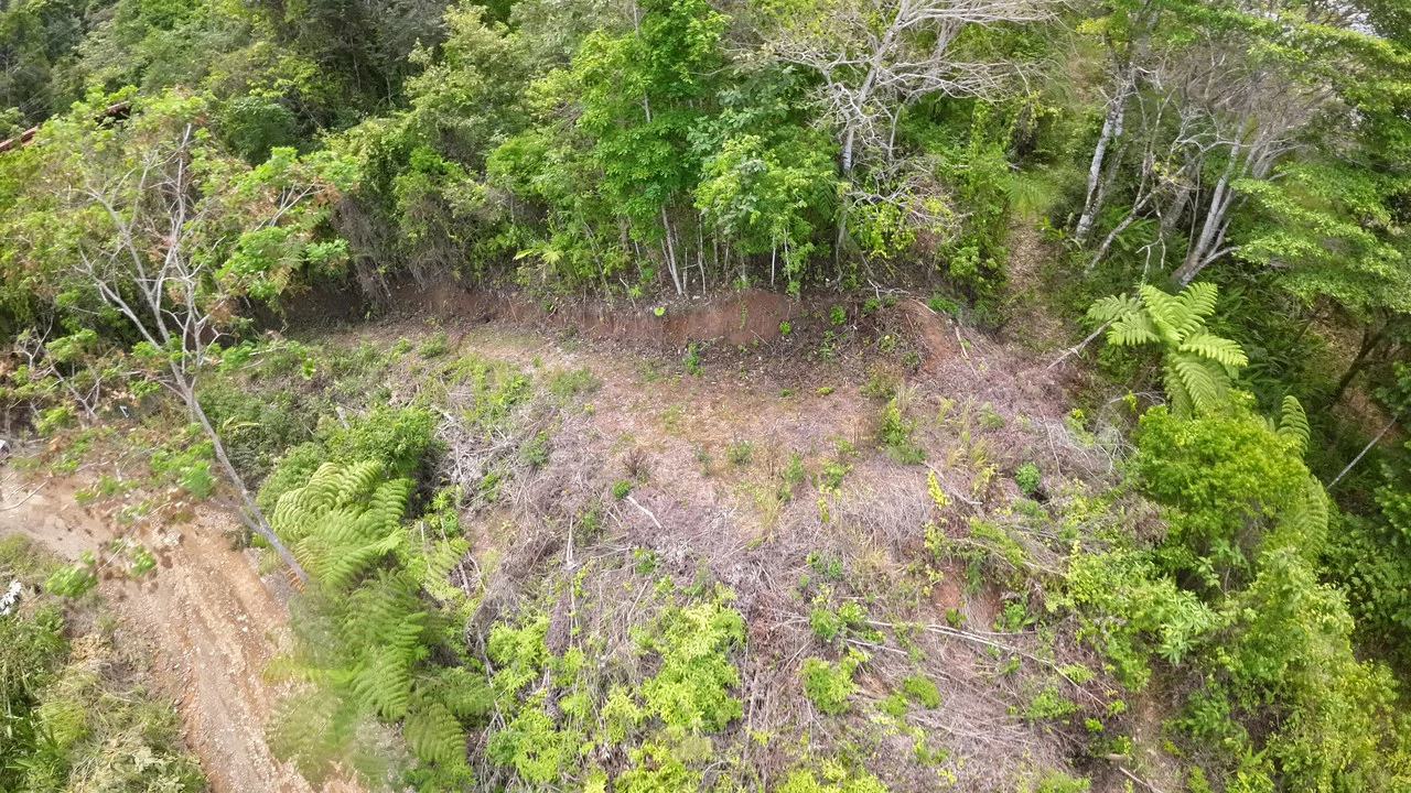 Ocean View Investment Opportunity - Gallery image 15