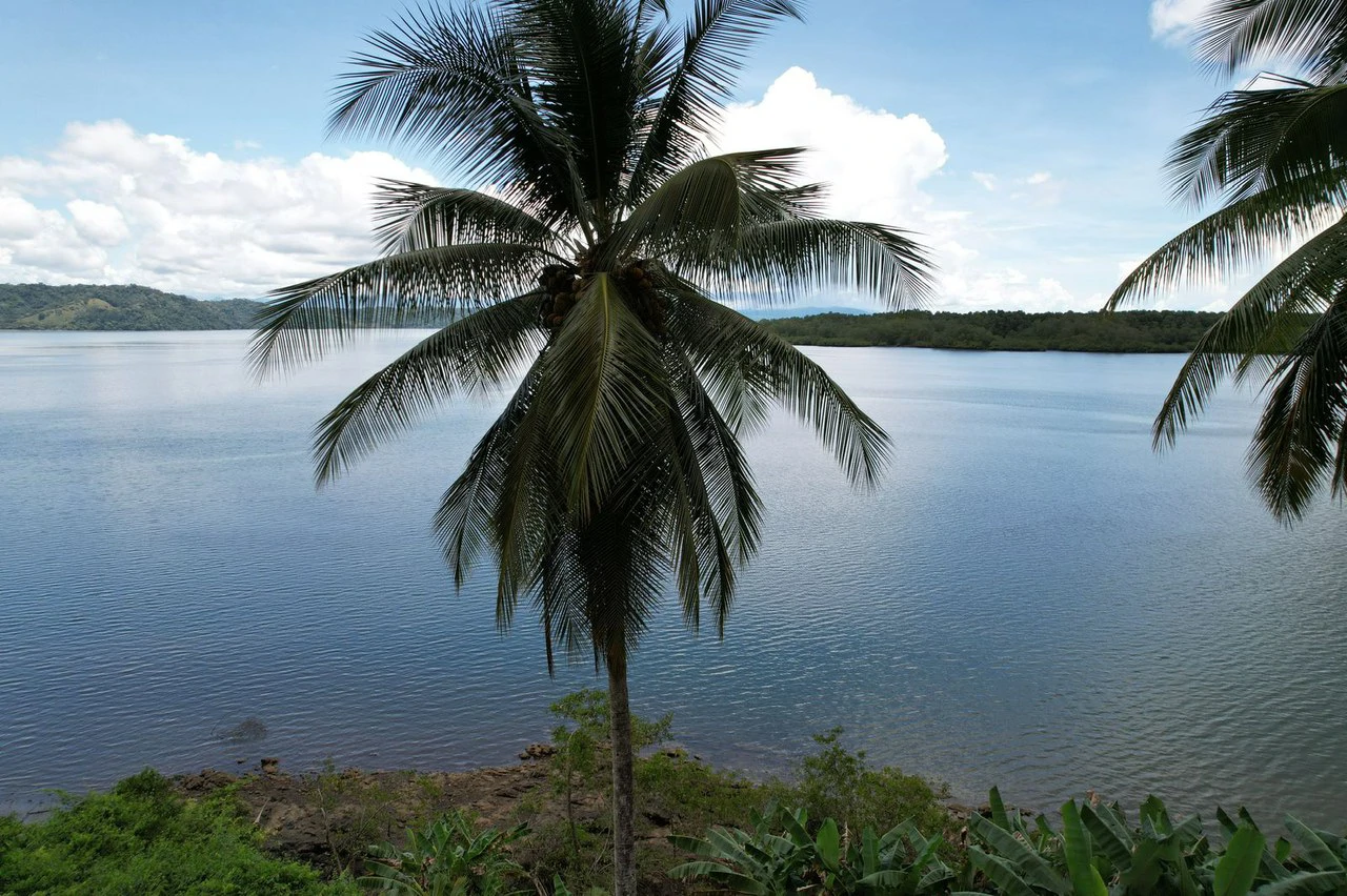 Finca La Palma, Puerto Jimenez: Excellent location ideal for development - Gallery image 17