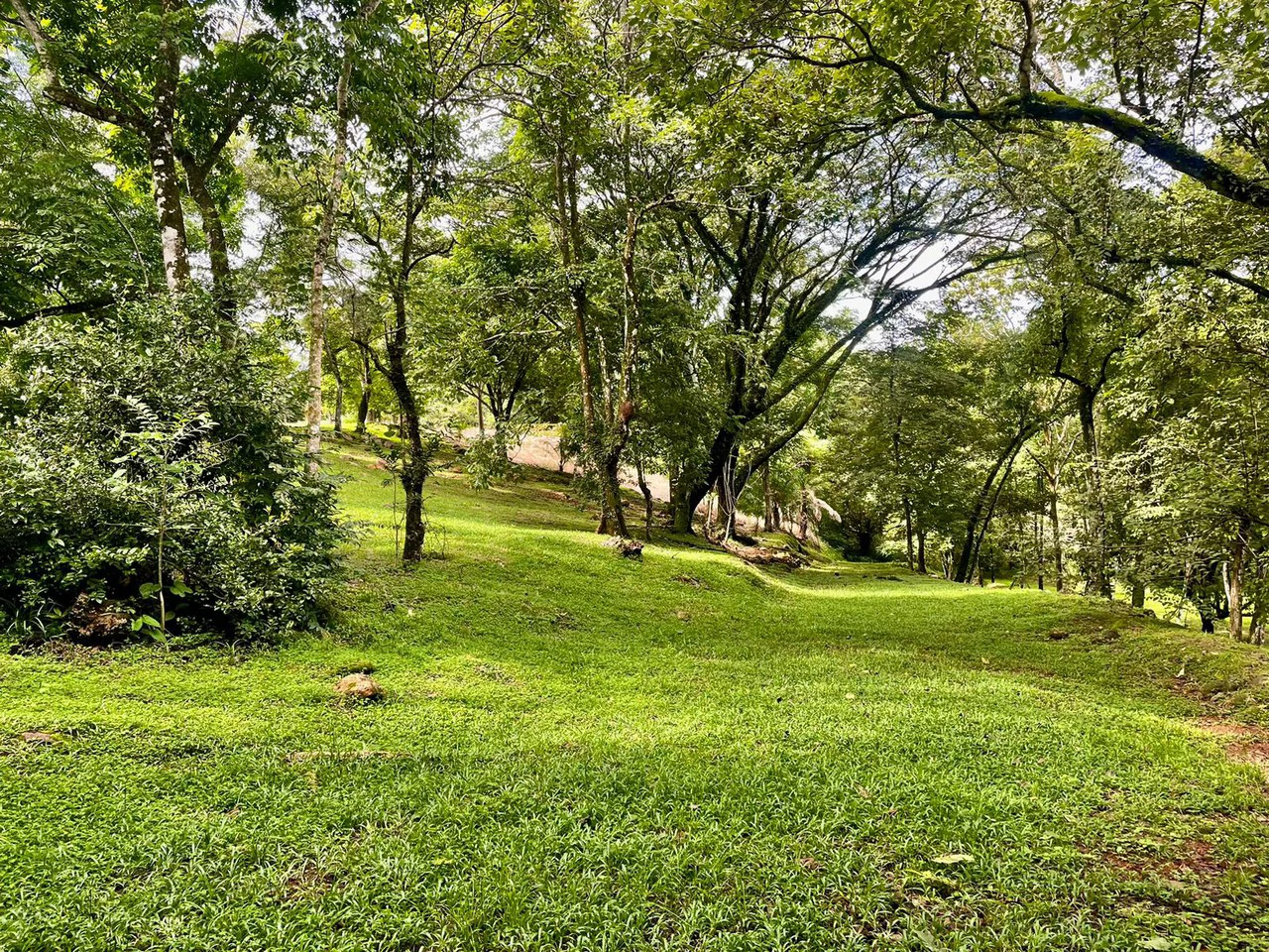 Property for Sale for Tourism Development with River in Orotina Alajuela Costa Rica - Gallery image 15