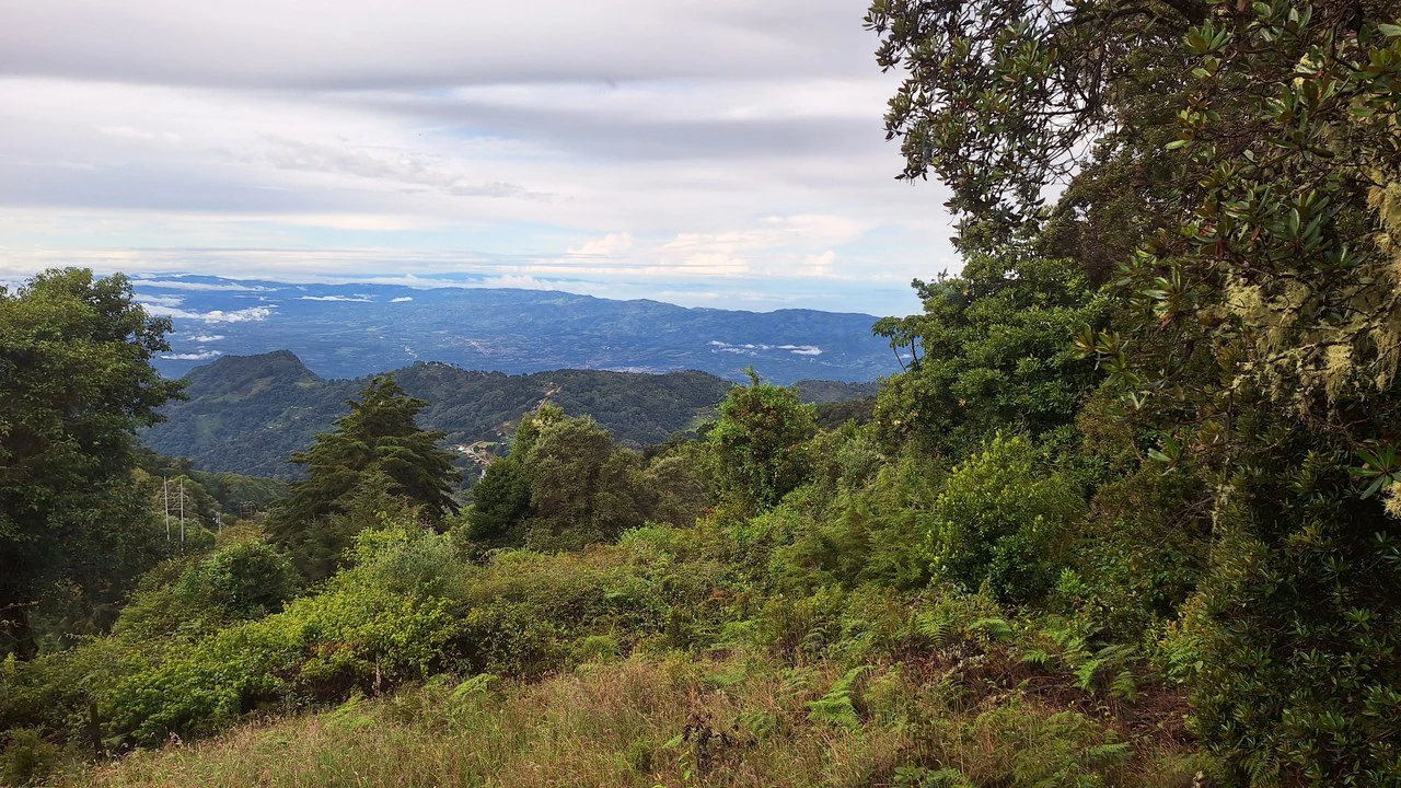 Se vende propiedad Ubicada en División de Paramo.: Mountain Home Construction Site For Sale in Division de Páramo - Gallery image 19