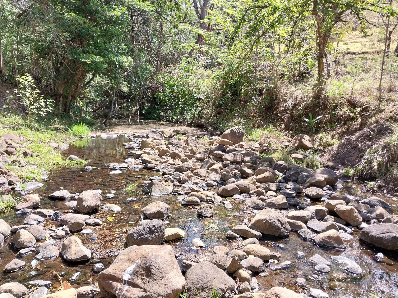 Finca de 613 acres/248 ha. con Linda Casa y Bonitas Vistas: Countryside Agricultural Land For Sale in Bagaces - Gallery image 15