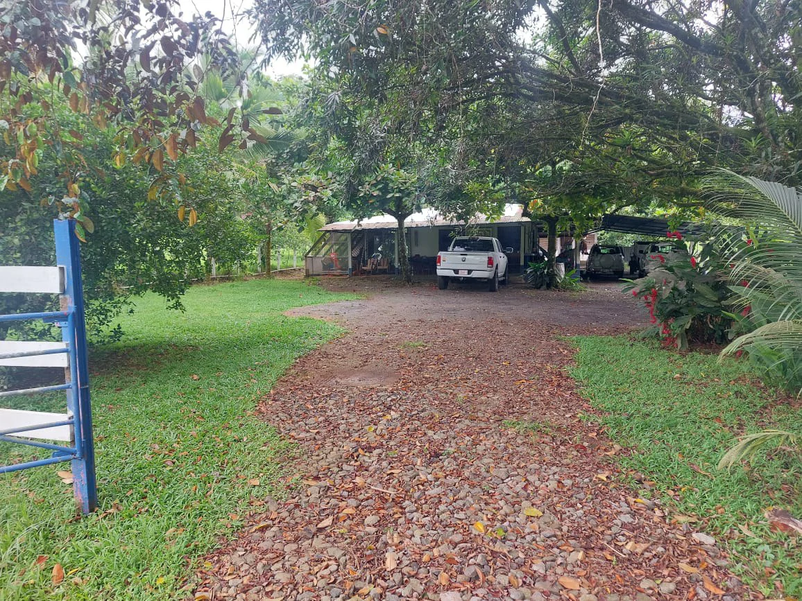 Spectacular Working Cattle Ranch, Guácimo, Limón, Costa Rica 80 ha / 197.6 Acres: Spectacular Working Cattle Ranch, Guácimo, Limón, Costa Rica 80 ha / 197.6 Acres - Gallery image 11