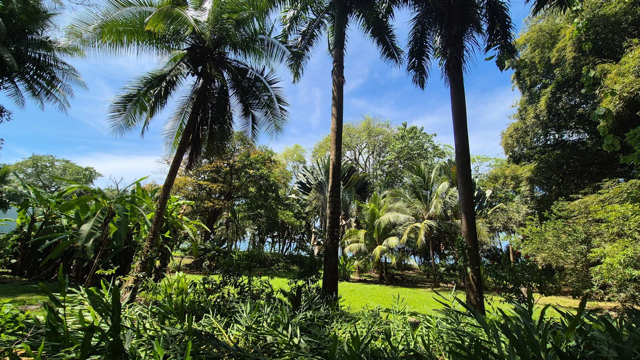 Dream Beachfront Property at Ballena Beach in Uvita, Costa Rica - Gallery image 6