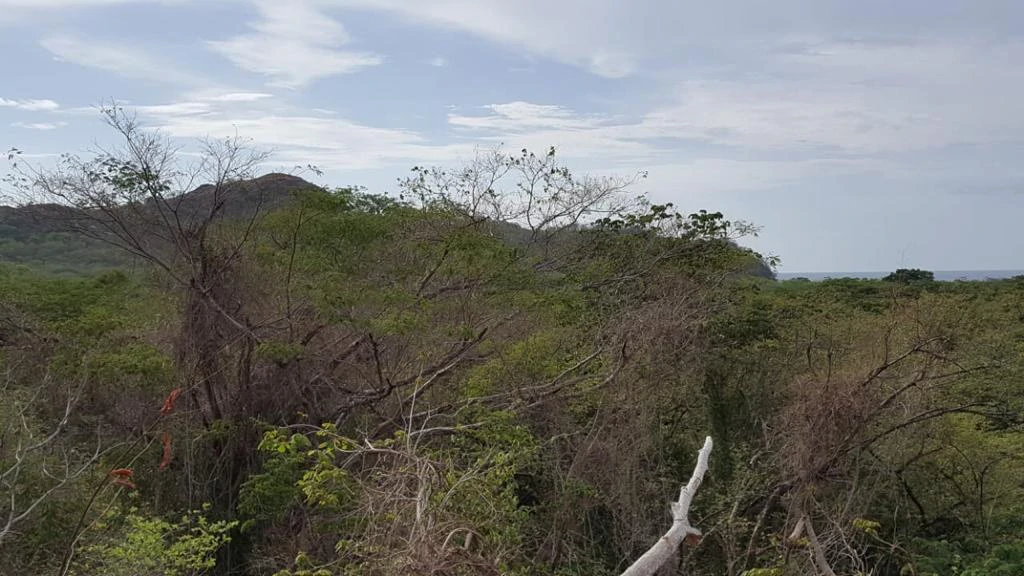 Ocean view property in Playa Conchal