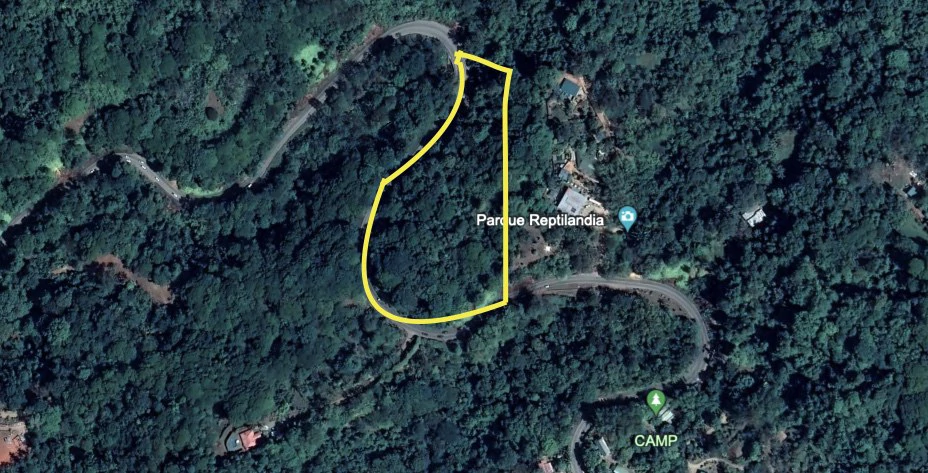 6.5 ACRES – Space To Grow, Build & Thrive, Close To The Beach & Commercial Potential Road Frontage!!!!!: Mountain and Countryside Development Parcel For Sale in Platanillo de Dominical