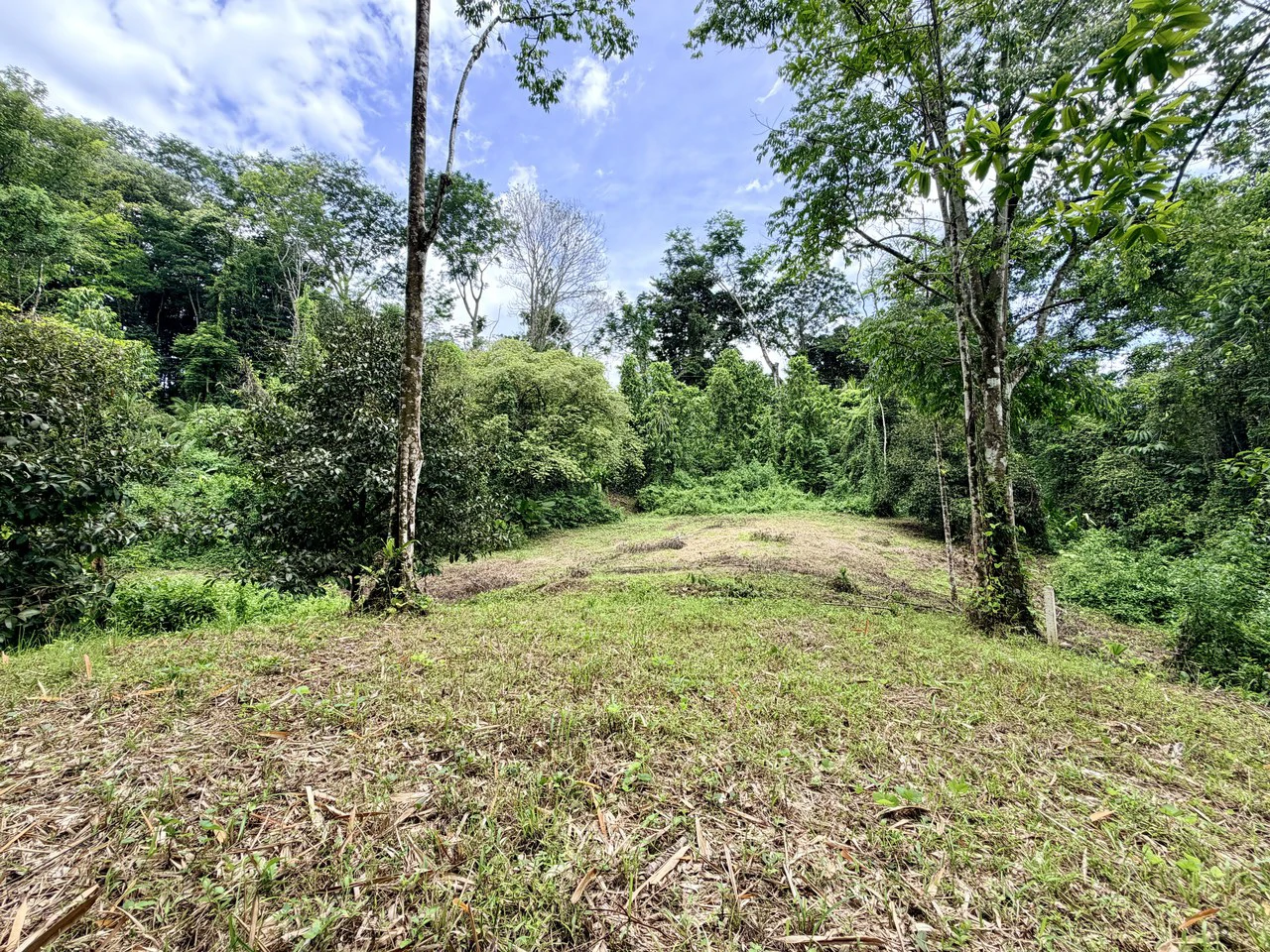Uvita Development Farm - 40.47 Acres Estate - photo 11