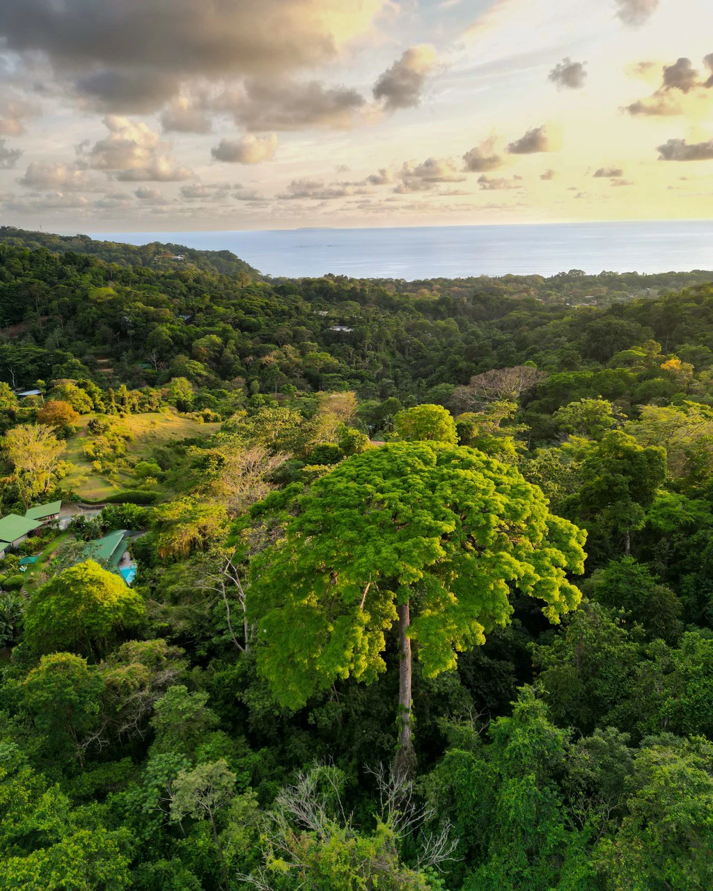 Build Your Vision in Uvita – 15.9 Ocean View Acres with Easy Access + Utilities Ready! - Gallery image 4