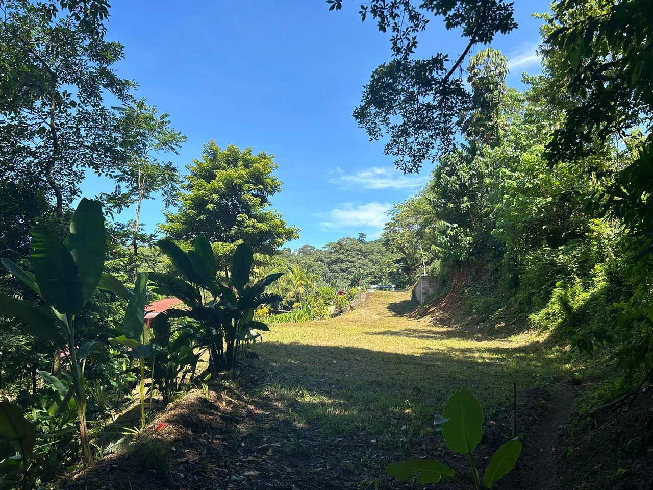 Reasonable Lot for sale in Uvita - Gallery image 4