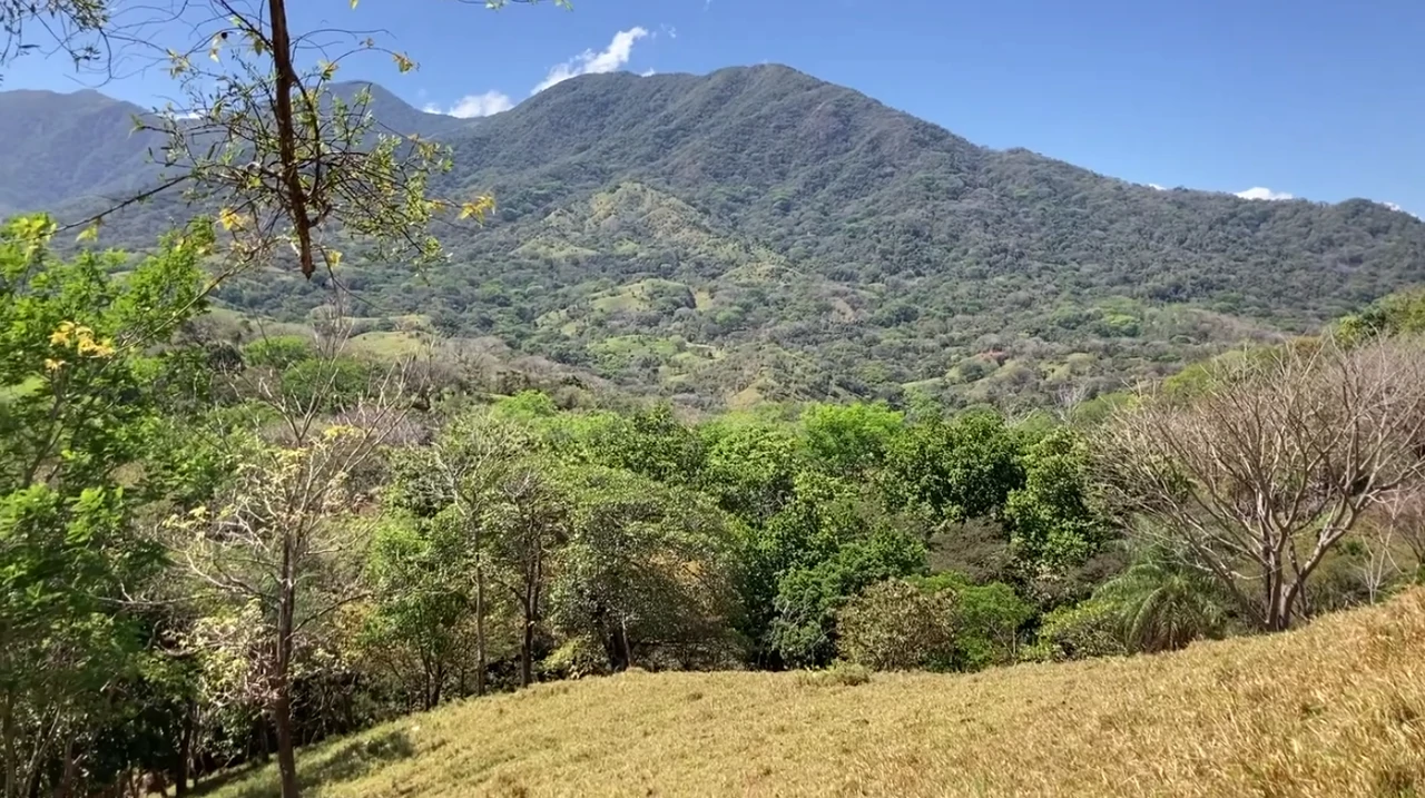 Tourism or Development?: Beautiful 56 ha with riverfront access - Gallery image 13