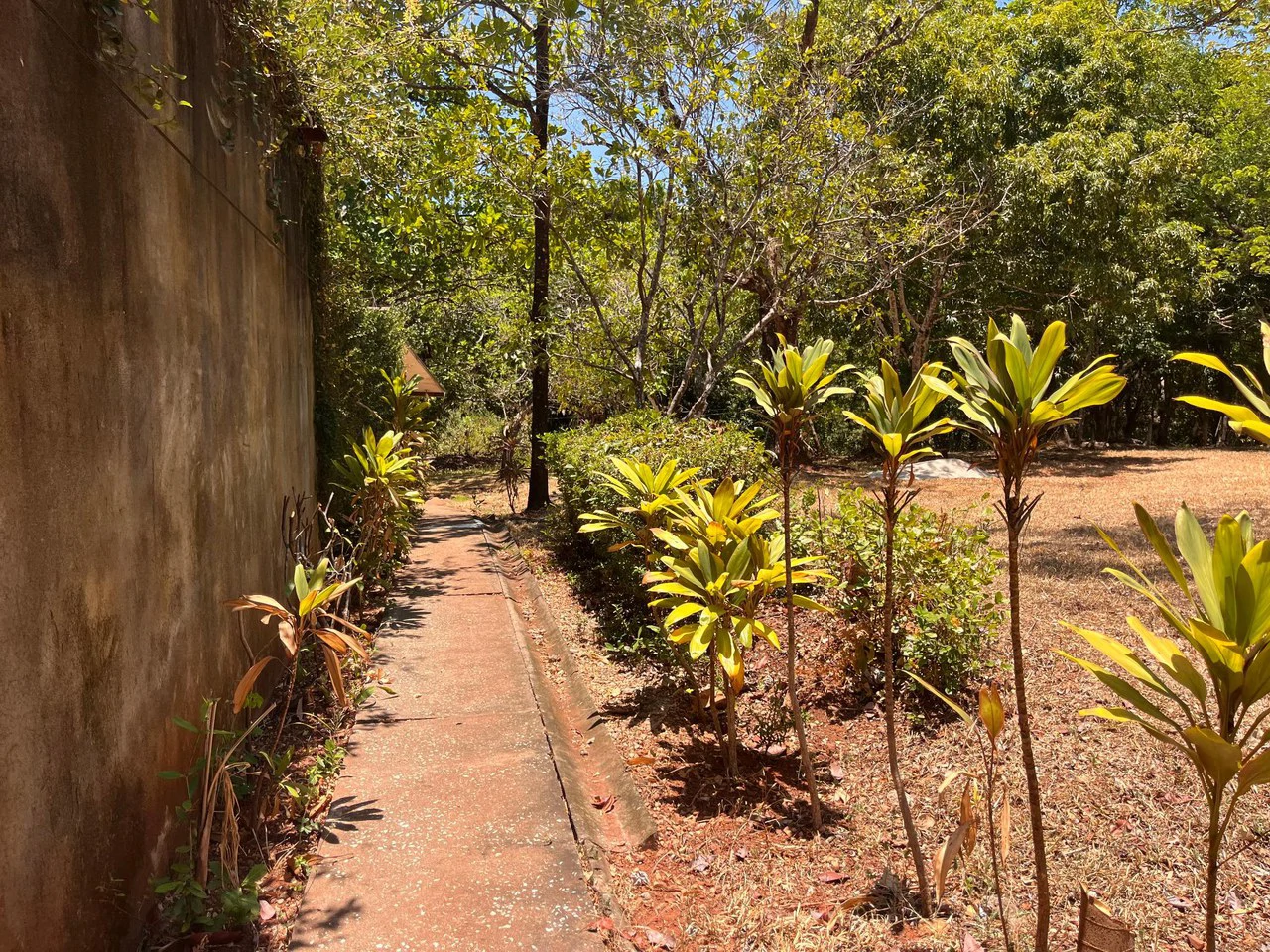 Build-Ready Flat Lot with Utilities in Carrillo, 5-min walk to Carrillo beach - photo 18