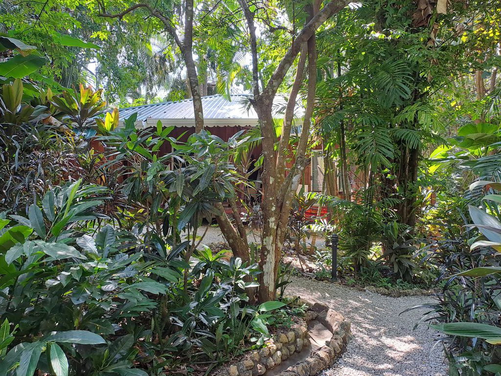 Samara Jungle Boutique Hotel: When Elegant & Romantic Bungalows Seamlessly Blend Into Nature's Bounty. - Gallery image 20