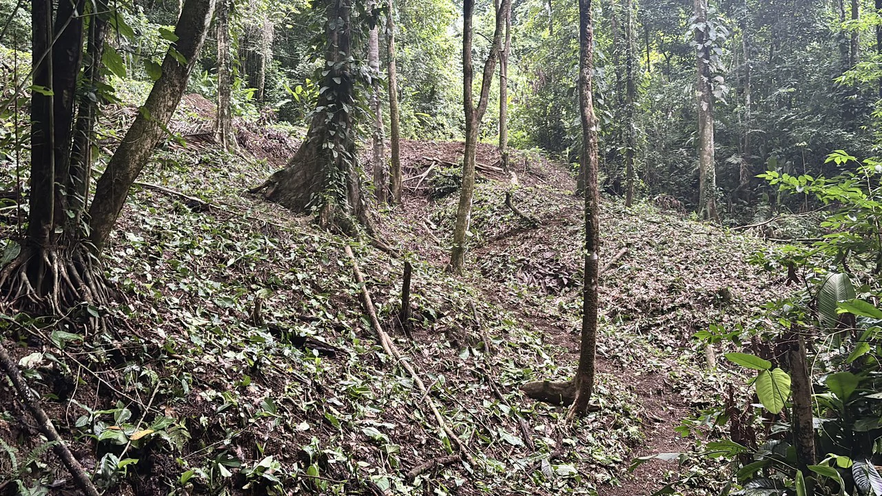 Unique property with creek and waterfall in lush jungle: Mountain Home Construction Site For Sale in Damas - photo 14
