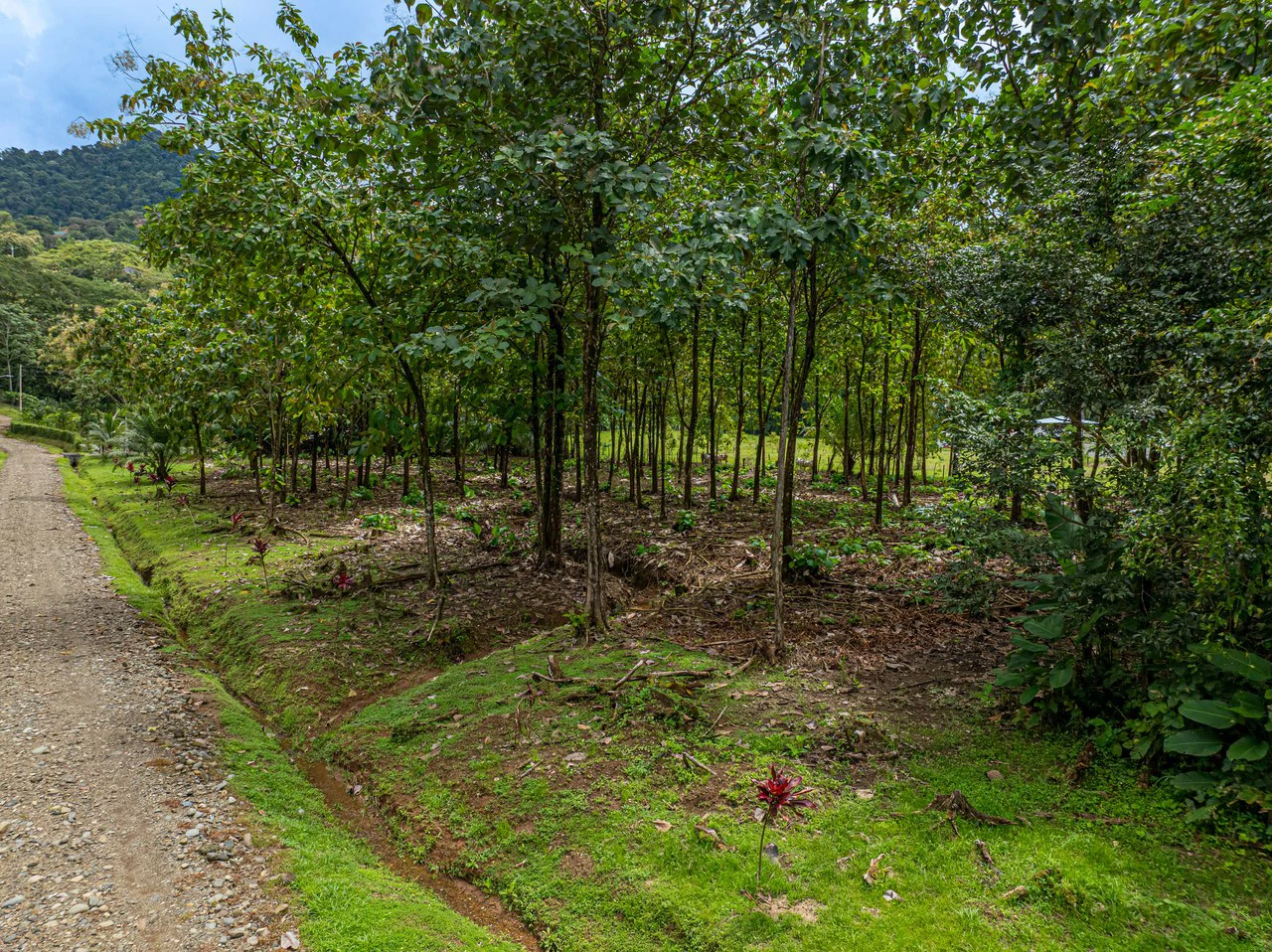 New Gated Development in Matapalo - Ocean View and Flat Land, ready to build! - Gallery image 8