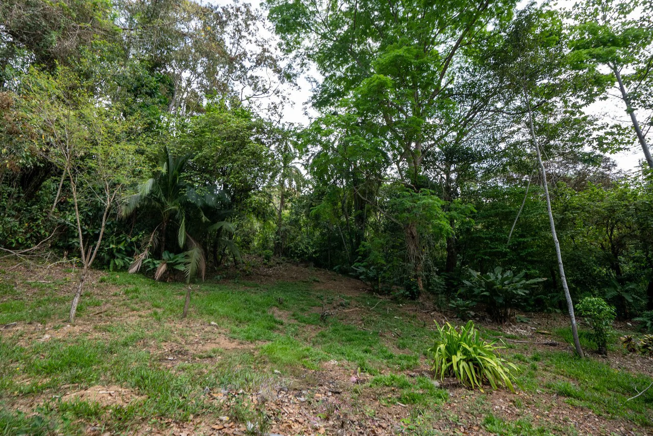 Rare 86-Acre Ocean View Estate Bordering Hacienda Barú – A Unique Opportunity for Conservation and Development - Gallery image 29