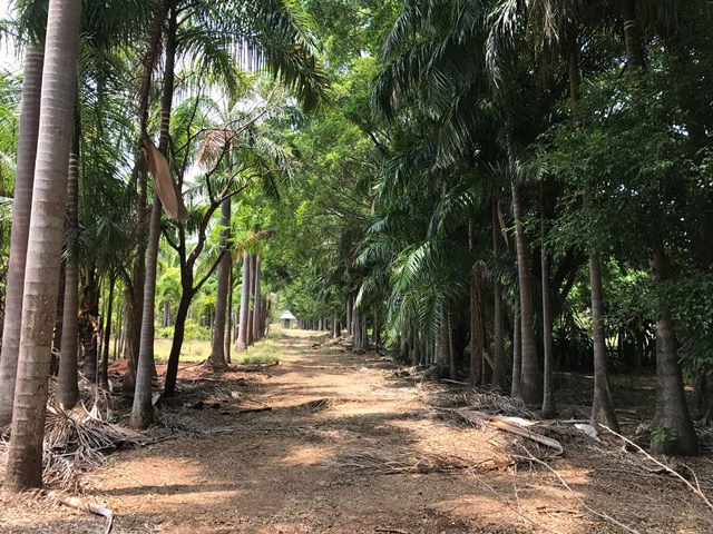 Great property in Santa Cruz: Excellent opportunity to develop in excellent location - Gallery image 10