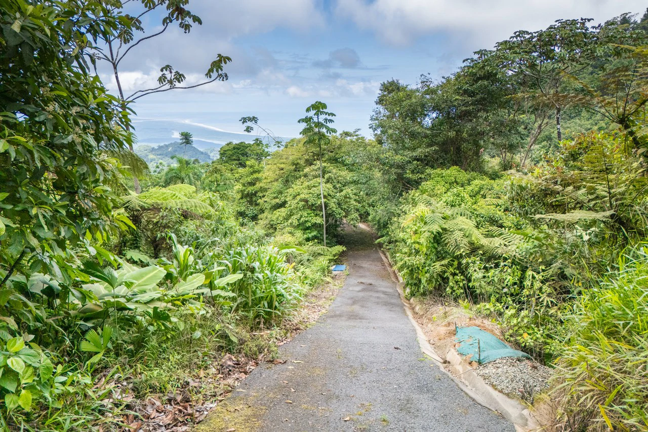 Near the Coast Home Construction Site For Sale in Ciudad Cortés - Gallery image 4
