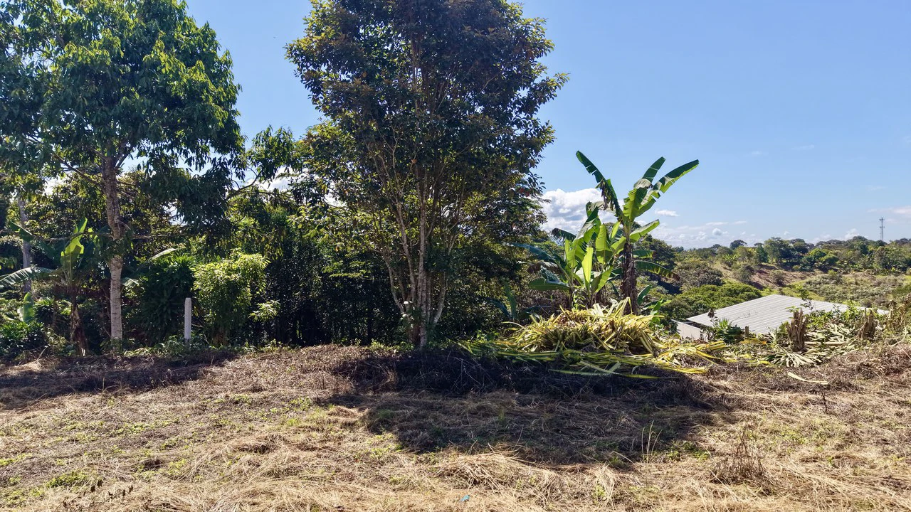 Home Construction Site For Sale in Pavones - Gallery image 20