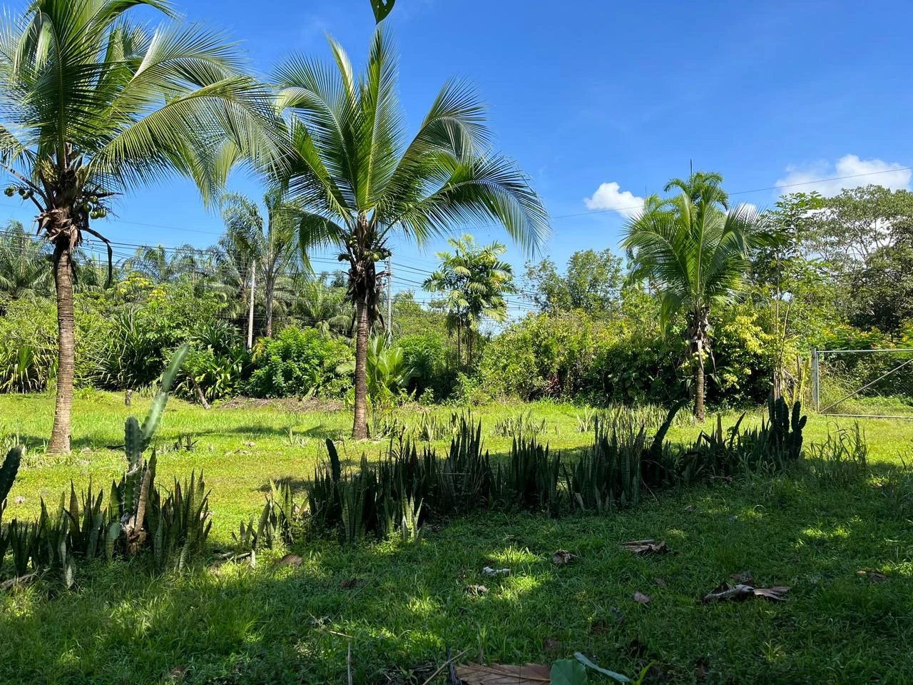 Perla Tropical Rio Seco: Great Opportunity for Sale with reduced price - Gallery image 19