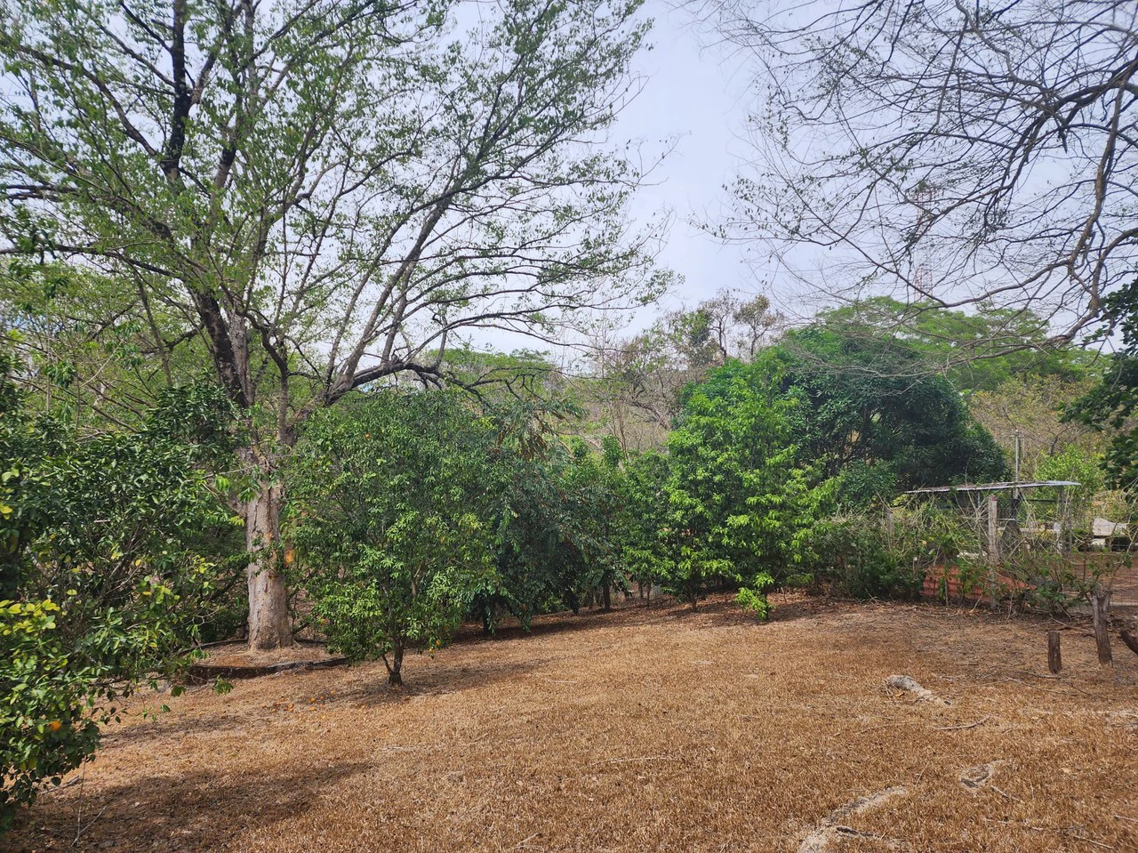 Countryside and Mountain Home Construction Site For Sale in San Juan de Mata - Gallery image 9