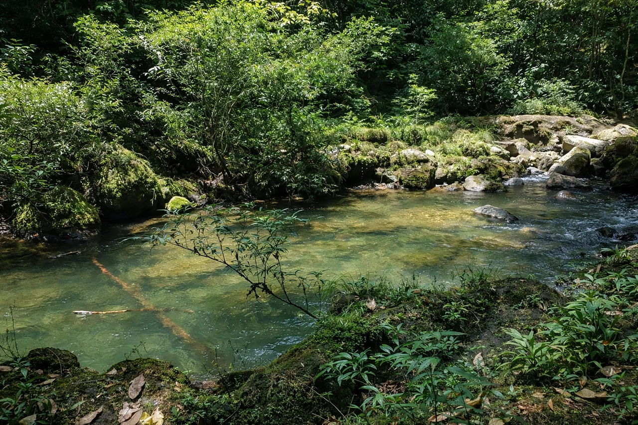 10-Hectare Farm for Sale in Sarapiquí, Heredia – Two Internal Rivers & Public Road Frontage | Ideal for Eco-Development