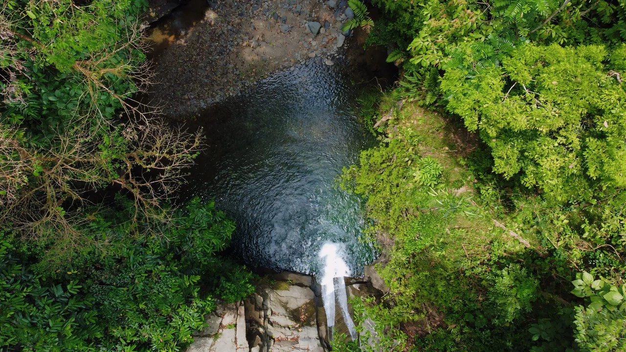 FINCA CERRO DEL TIGRE! OVER 20 ACRES OF PRIMARY FOREST AND WATERFALLS.: Mountain Agricultural Land For Sale in La Unión - Gallery image 7