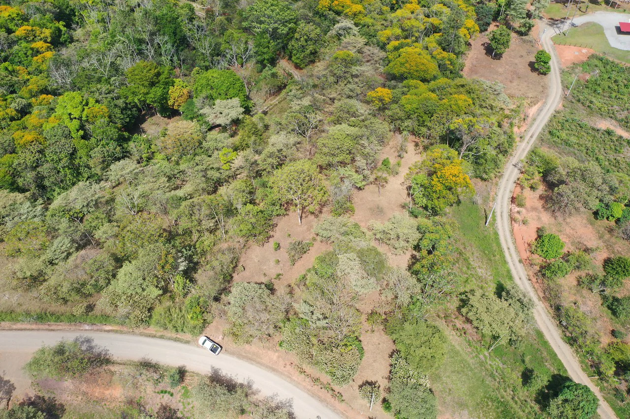 Elevated Two and a Half Acres with Cool Breeze in San Isidro del General - Gallery image 21