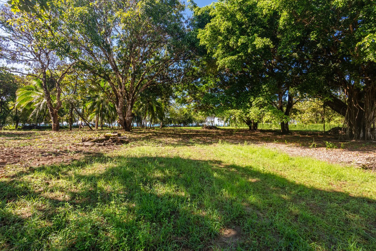 Exclusive Beachfront Opportunity south of Manuel Antonio Costa Rica - Gallery image 12