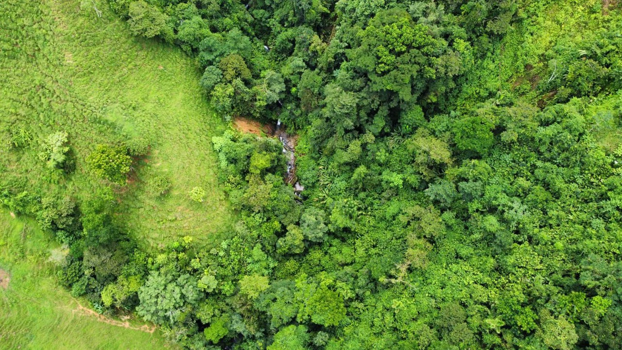 Se vende 39ha en Barú, Perez Zeledón: Mountain Home Construction Site For Sale in Barú - Gallery image 3