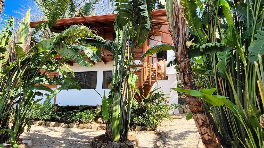 Casa Jungle Tree: PRICE DROP - Tropical Living with Pool, Expansion & Vehicle Included – Ready to enjoy the Pura Vida Lifestyle! - Gallery image 10