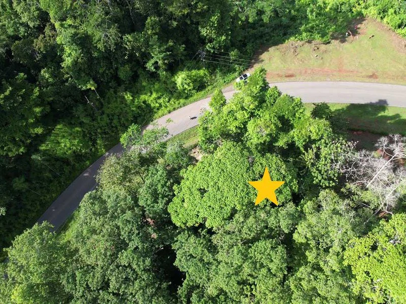 2.47 Acres Property | Mountain Top Ocean View lot in Bahía Chal - Gallery image 10