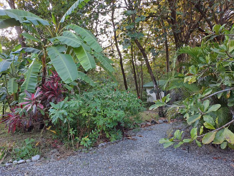 Casas Jungle: Charming Rental Compound with 5 units & pool in the heart of nature, minutes from Samara’s beaches - Gallery image 18