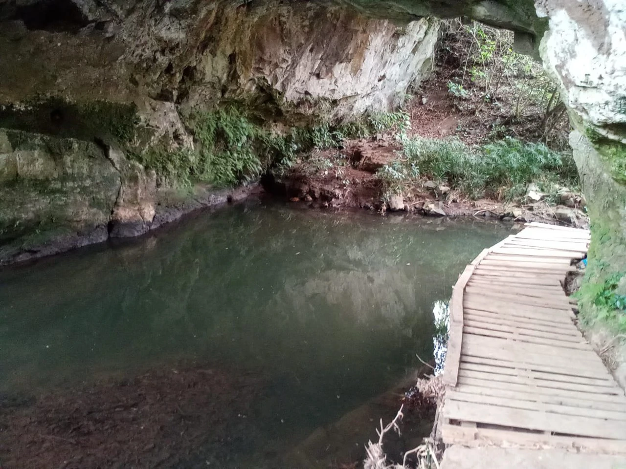 THE JEWEL OF GRECIA: $20m2 - 10 Hectares of Unlimited Potential! - Gallery image 5