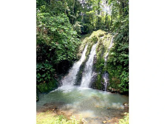 Serene Jungle Farm in Limon Province - Gallery image 61