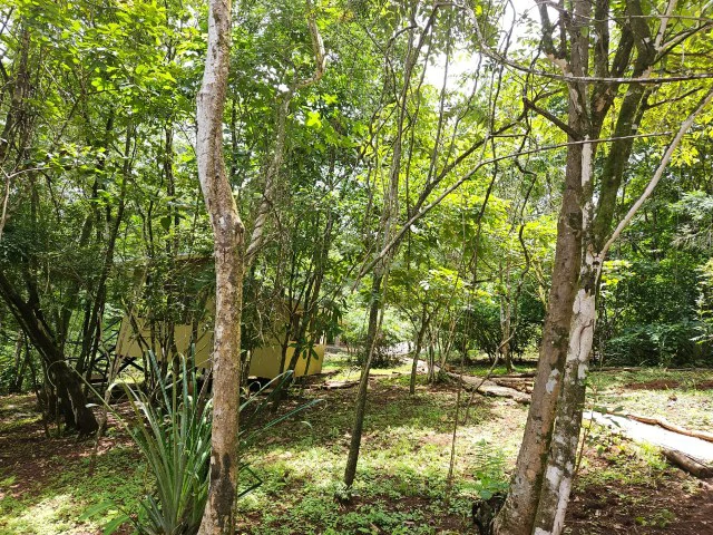 Nosara's Brand New Top Villas as a Business Opportunity in the dense forest of catchment area, 7 villas for sale in Costa Rica's Healthy Blue Zone - Gallery image 13