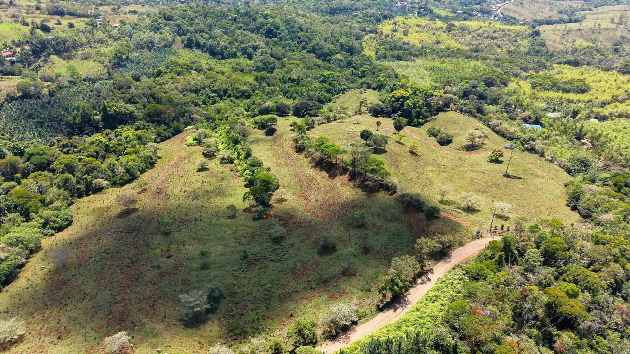 Agricultural Land For Sale in MORAZAN - Gallery image 17