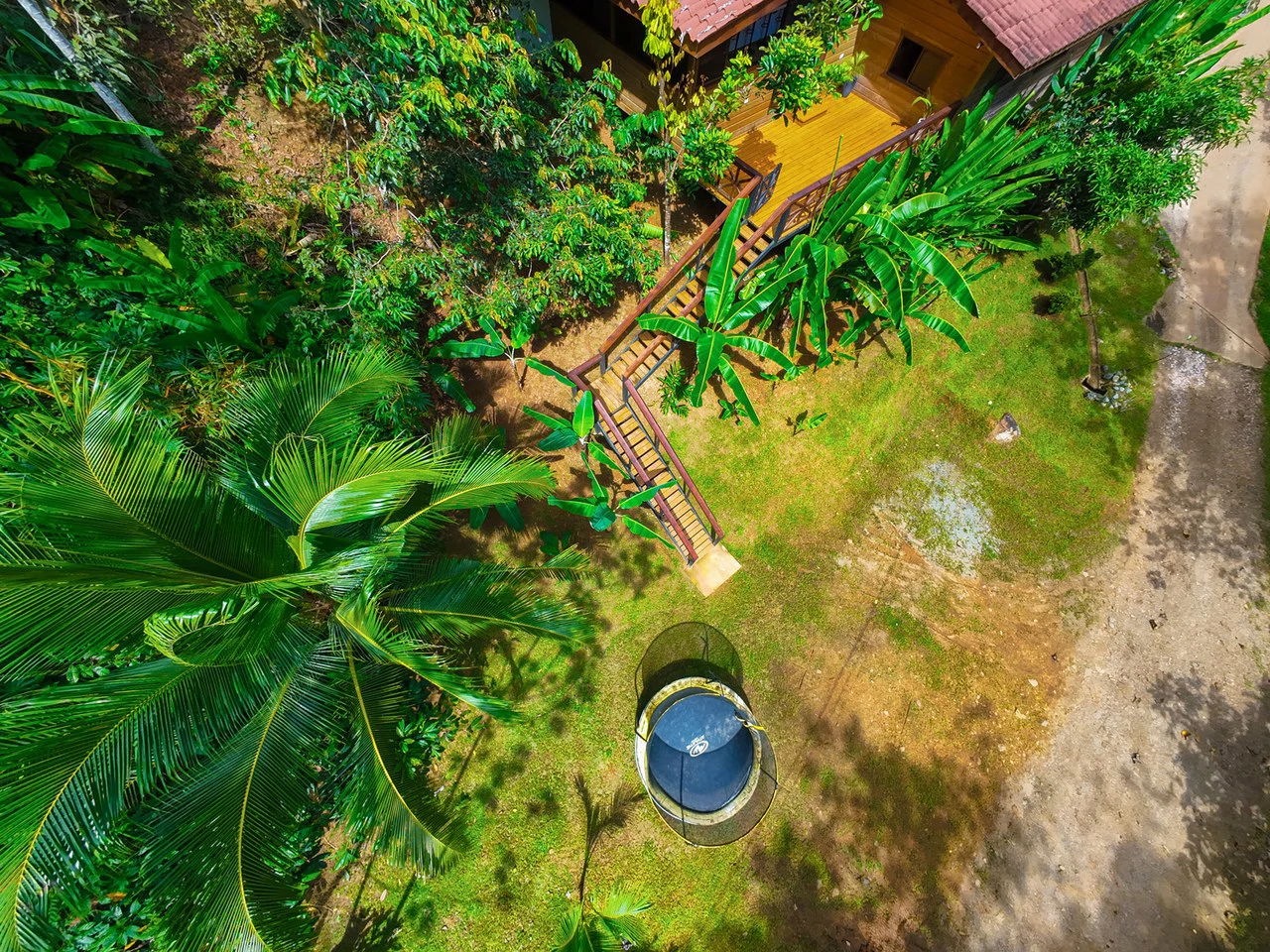 Serene Jungle Home + Guest Cabin on 3 Acres and River - Gallery image 35