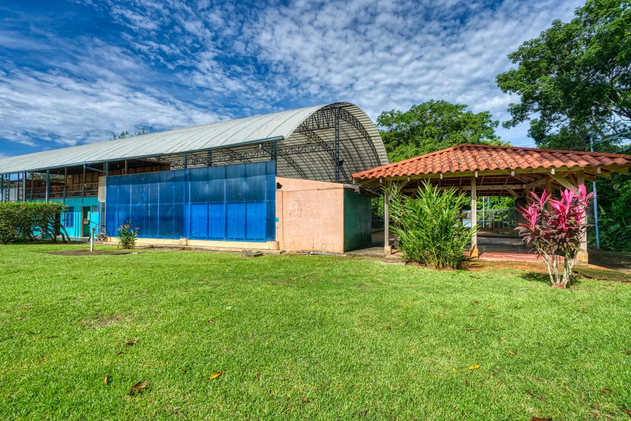 THRIVING SPORTS AND COMMERCIAL BUSINESS WITH OWNER FINANCING OPTION: Rincon Uvita - Gallery image 7