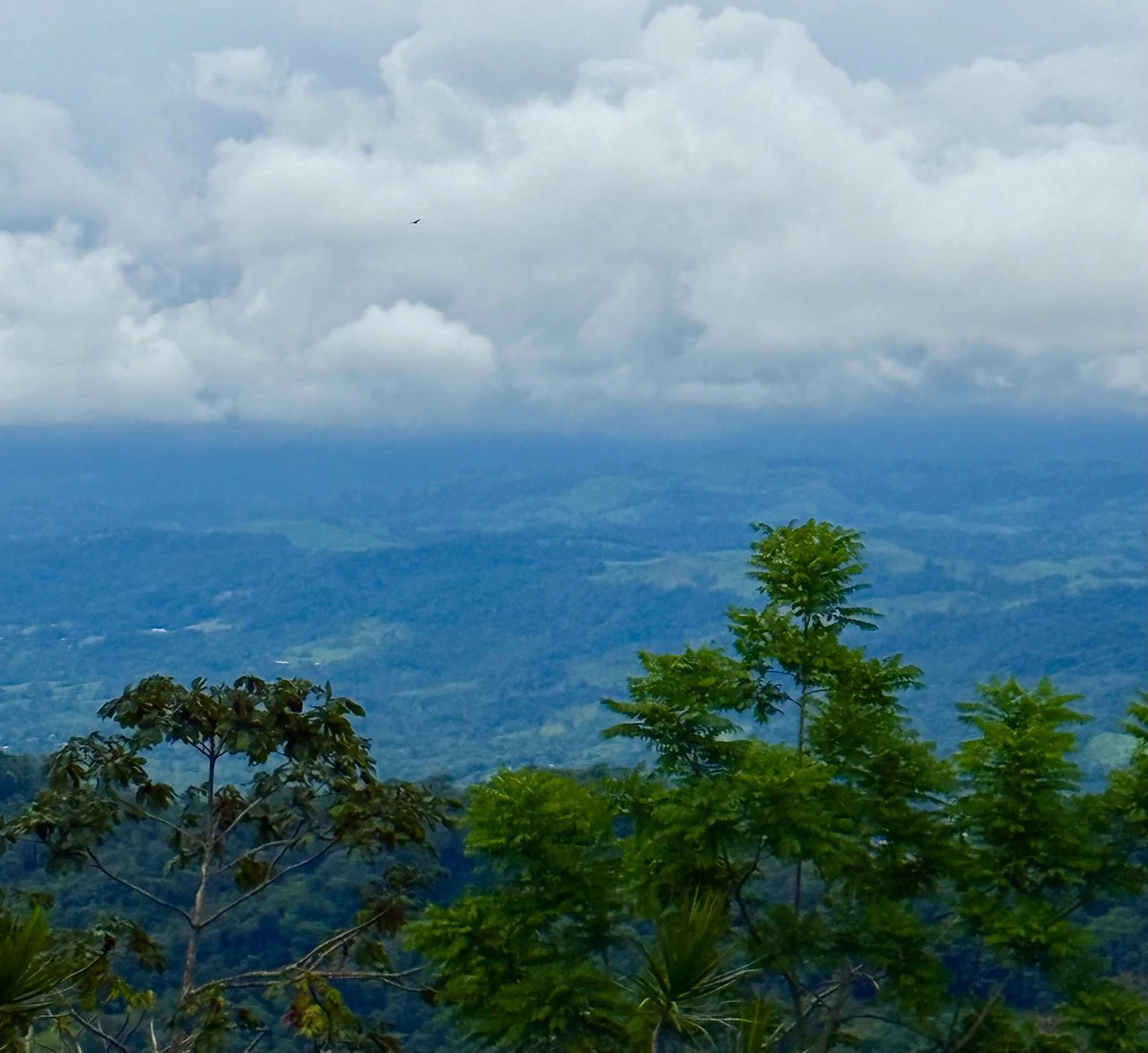 Spectacular views 13.81 acres lot - Great Location for dream home or cabins - photo 11