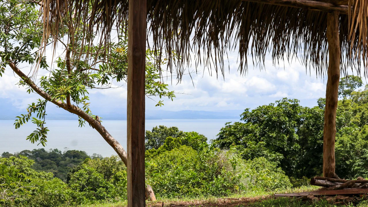 Unique Development Property Overlooking the Pristine Golfito Bay and Golfo Dulce - Gallery image 7