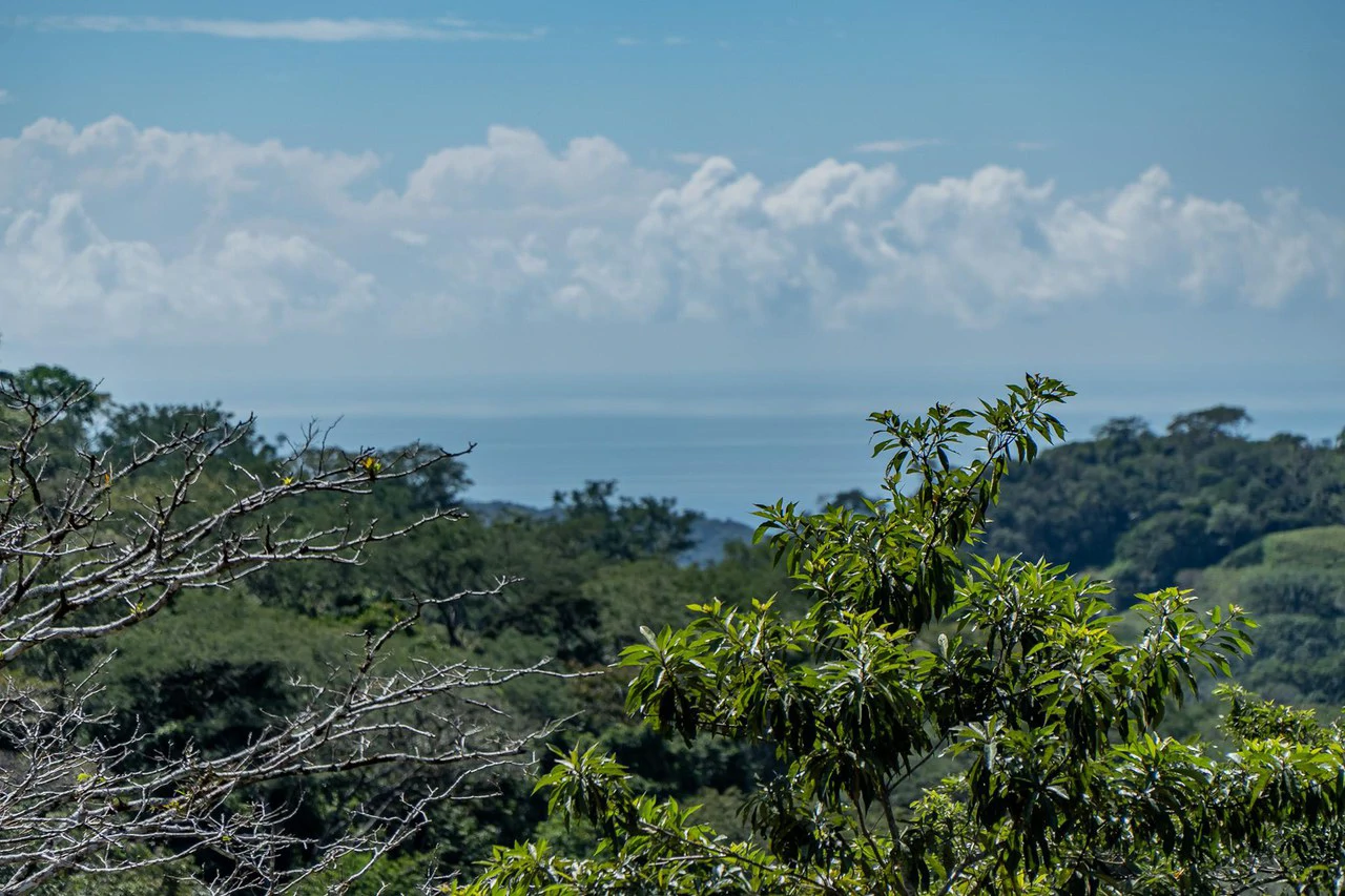 Silent Ridge: 2 Hectares With Ocean View