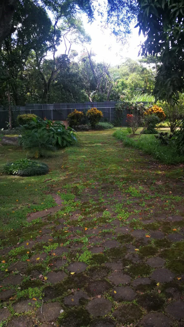 Home Construction Site For Sale in Escazú - Gallery image 9