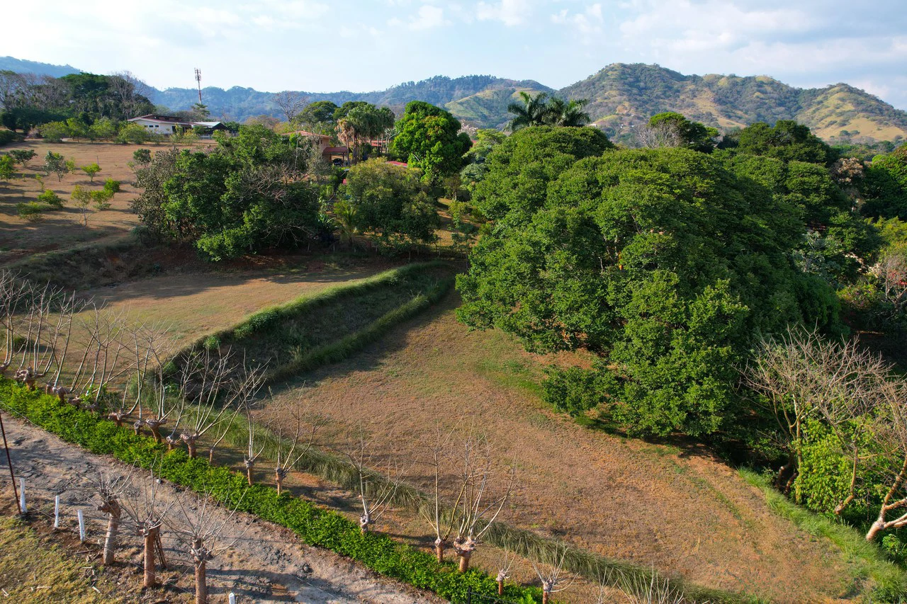 Lot in Barrio San José Sur , Atenas – Strategic Location - Gallery image 9