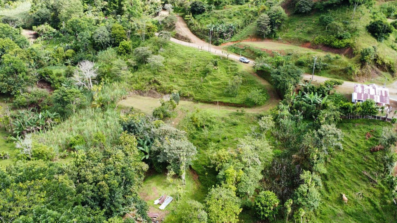 Propiedad en San Blas: Mountain Agricultural Land For Sale in La Linda General Viejo - Gallery image 21
