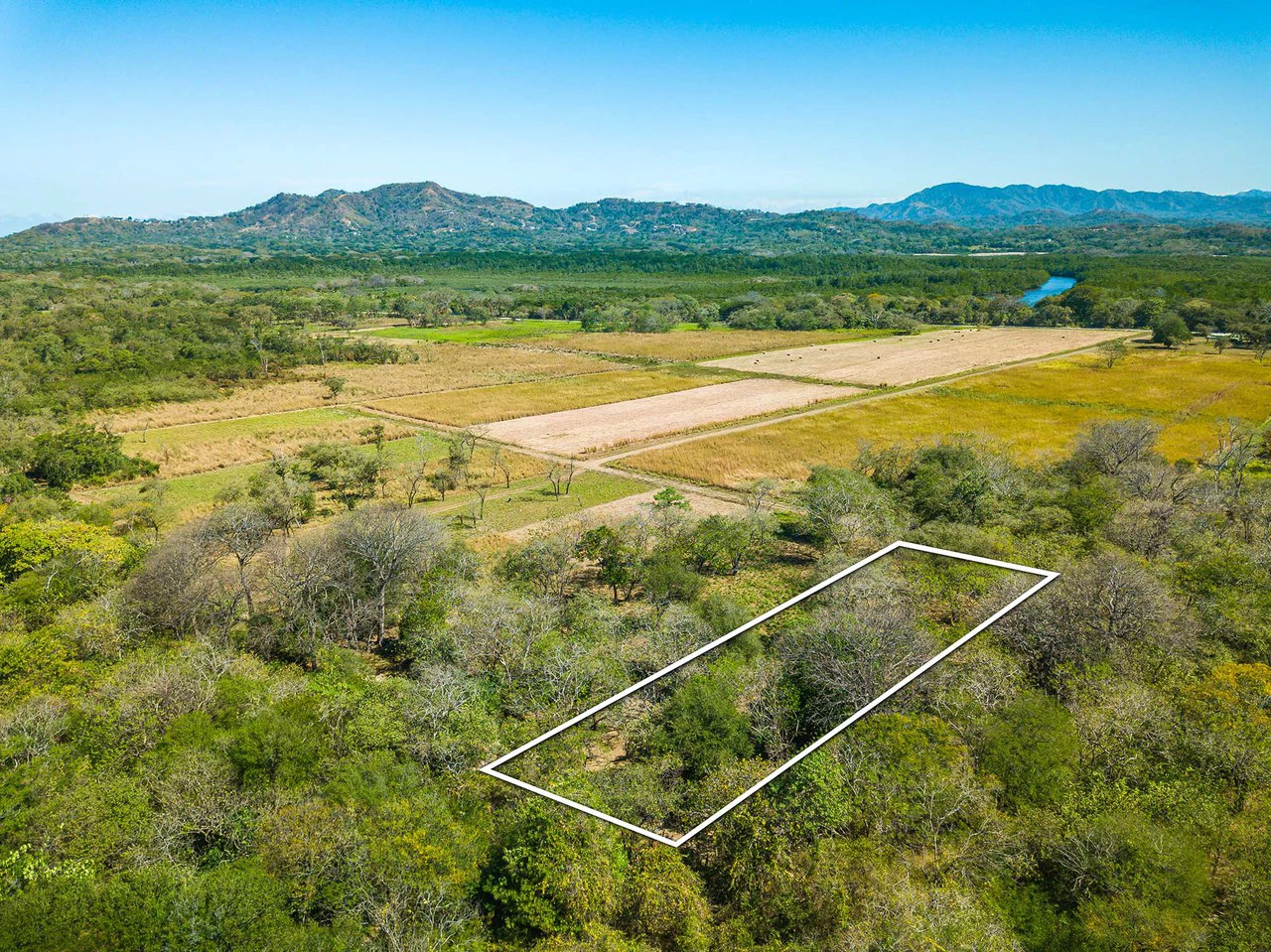 Playa Grande Lot #1: Titled Beachfront Estate Lot Playa Grande - Gallery image 10