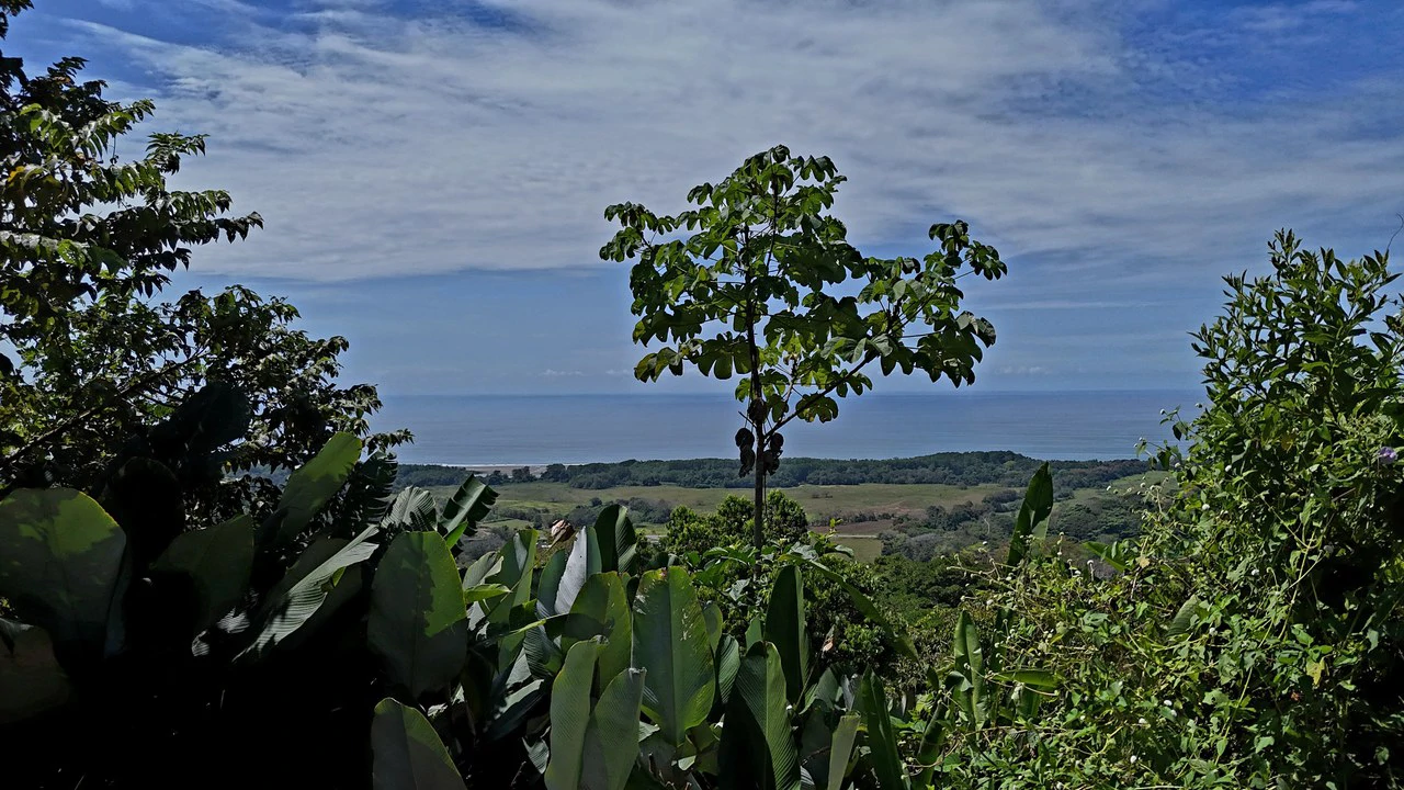 Ocean View Property with Plantel and Trails in Hatillo – Ready to Build: Mountain Home Construction Site For Sale in Hatillo - Gallery image 2