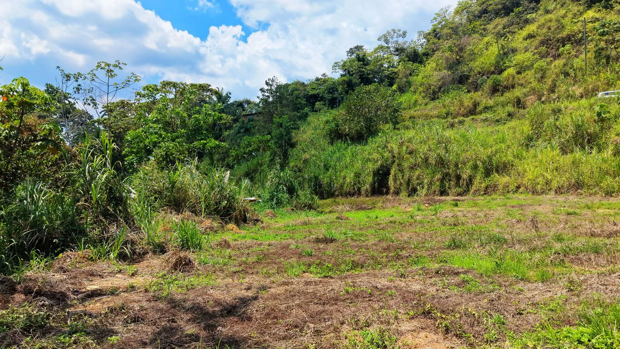 Countryside Home Construction Site For Sale in San Pedro - Gallery image 14