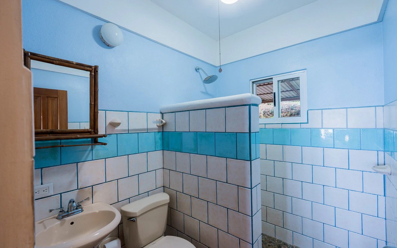 Whale's Tail Ocean View Estate with Extra Lot in Between Uvita and Dominical - Gallery image 52