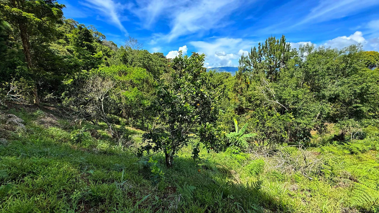 Home Construction Site For Sale in San Rafael Norte