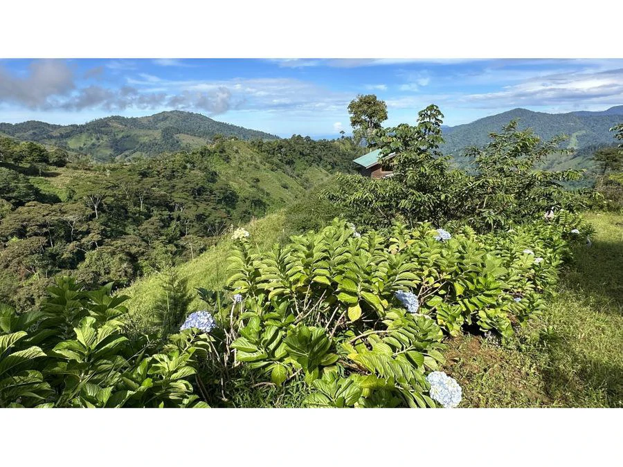 BEAUTIFUL MOUNTAIN VIEW FINCA WITH CABIN IN RIO NUEVO - Gallery image 14